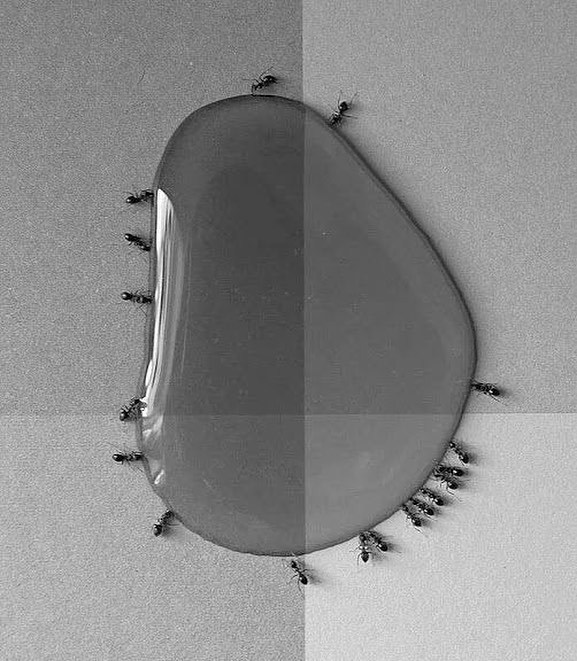 Archillect (@archillect) on Twitter photo 