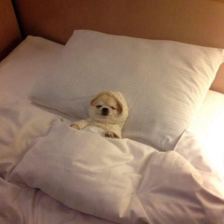 gettheskin's tweet photo. Excuse us, but it's still the long weekend here 😴 https://t.co/3bAEavddPF