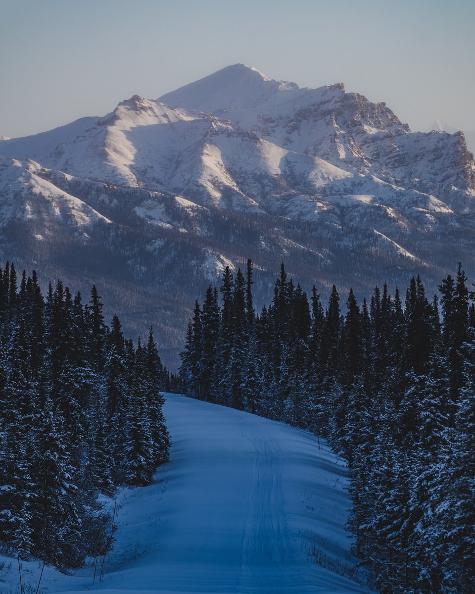 Even though the road is closed to cars past mile 3.  This place has some of the best #winter #wilderness #recreation around.  Bundle up! Today's high: -7F/-21C