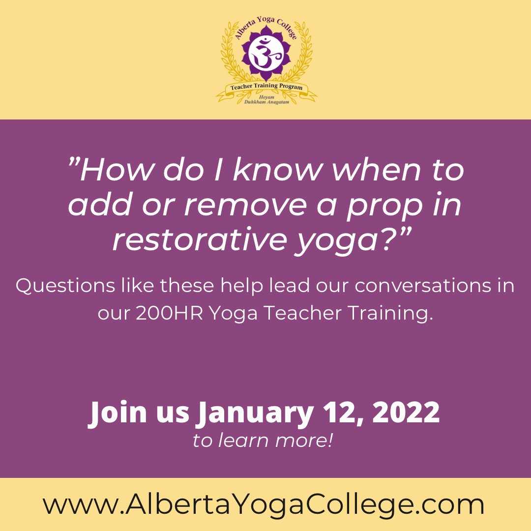 AlbertaYoga's tweet photo. Restorative yoga is a practice of ease but how do you know what props to use? Our 200HR YTT explores Restorative Yoga enabling our students to welcome it into their own practice and their teaching. Let the Alberta Yoga College guide your yoga journey. Join us January 12, 2022! https://t.co/UcAF1g2vaV