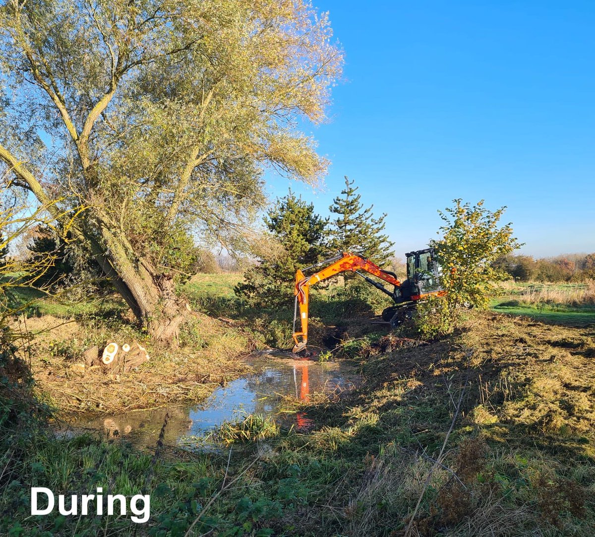 NewtPartnership's tweet photo. We’ve just finished restoring an overshaded, silted up #pond in Bedfordshire for GCN. Reprofiling will provide more warm, shallow water for newts and other aquatic wildlife. We’ve also created 2 clean water ponds here to increase the amount of breeding habitat available to GCN 🦎 https://t.co/WKjpZ98vCe