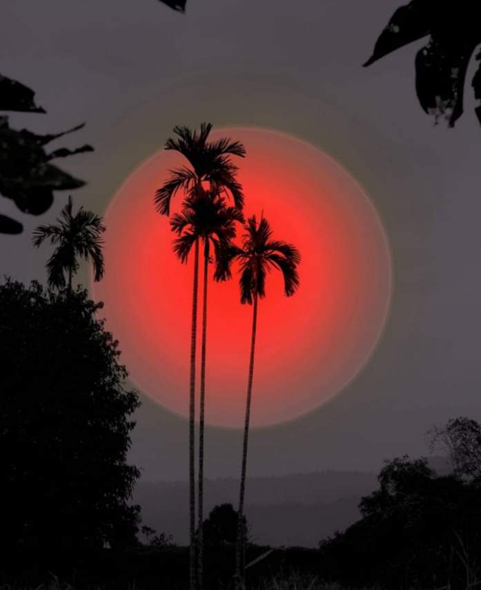 R_Ahmed32's tweet photo. Amazing sunset.😍
#nature #NaturePhotography https://t.co/RDMx7dr1QV
