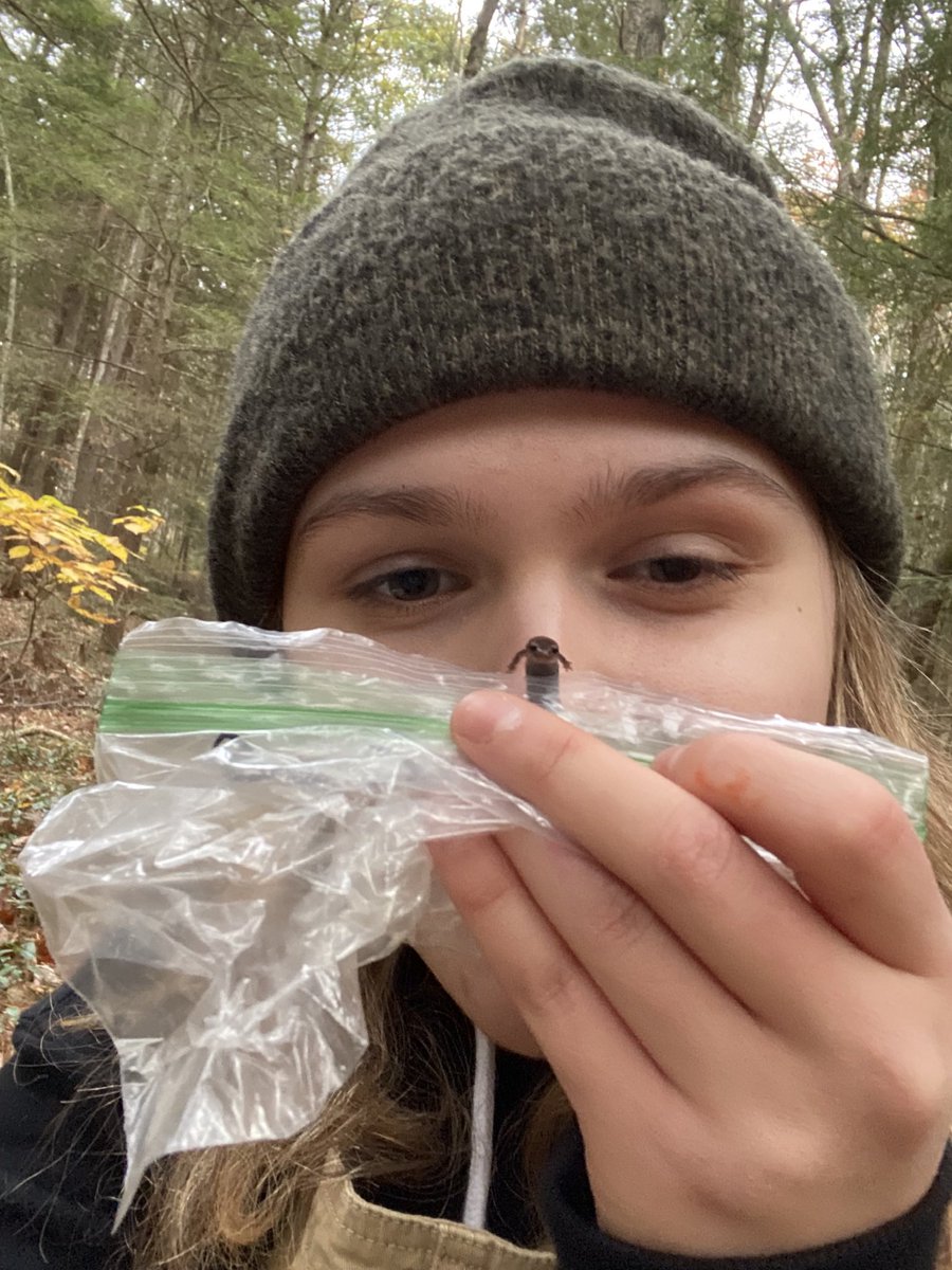 Salamander Jill (Fleming) tweet media