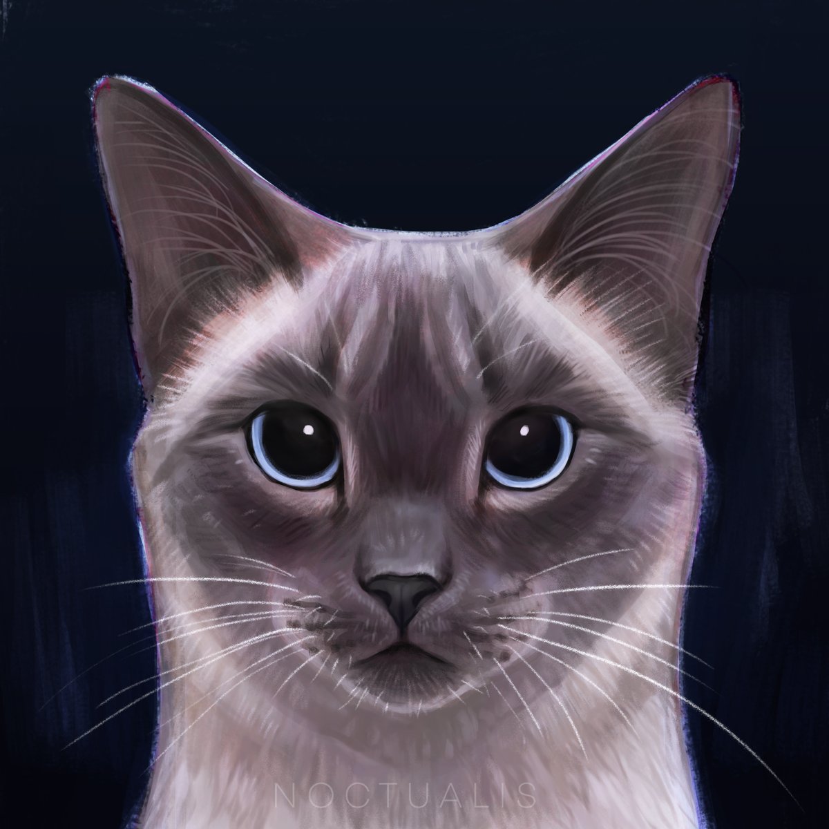 Noctualis's tweet photo. Light or dark? Painting of my cat Luna 😊 https://t.co/JDm5zhzSzE