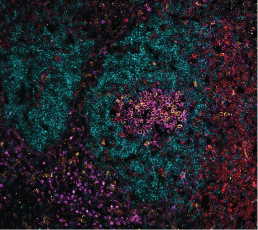 Kim Good-Jacobson tweet media