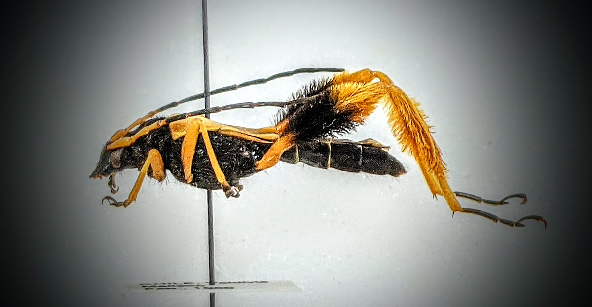 Oliver Keller Ph.D. tweet media