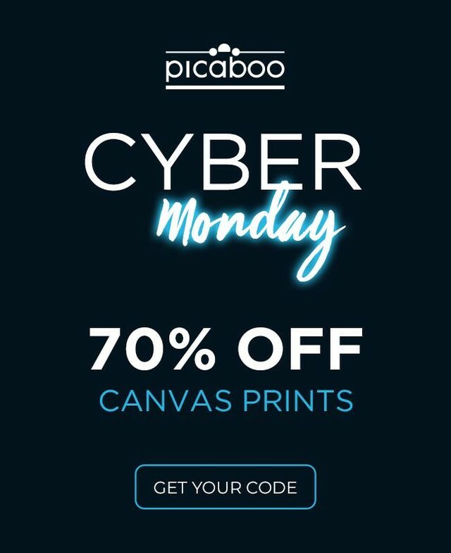 Don't miss our Cyber Monday deal: 70% off Canvas Prints! Get your code in our special offers page. | picaboo.com