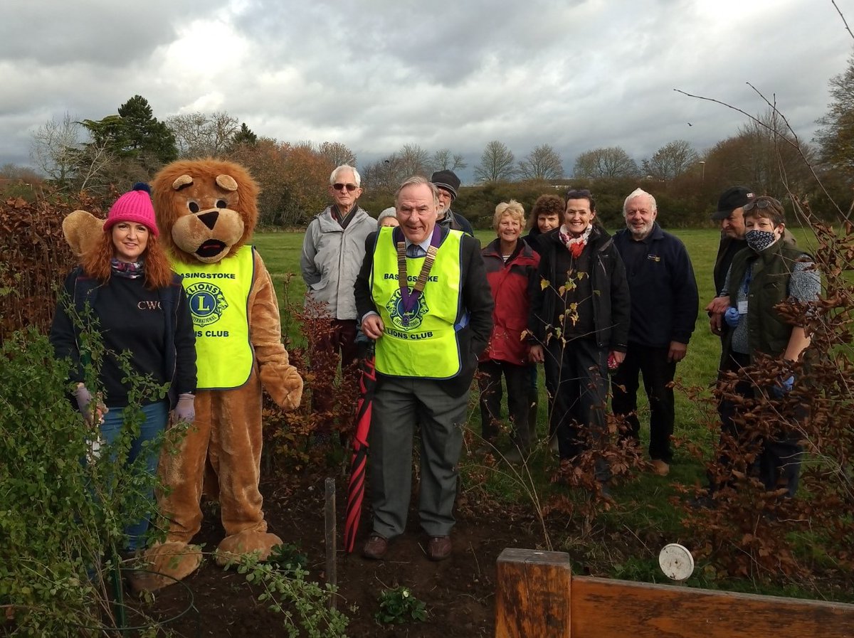 Thank you to <a href="/basingstokelion/">Basingstoke Lions</a> for planting 30 #JubileeTrees across #Basingstoke🎉 

Their Club President Rex Sindon helped to plant trees with the supervision of their loyal mascot Lennie the Lion🦁 

Trees are being planted across the community in hospitals, parks and schools🌳