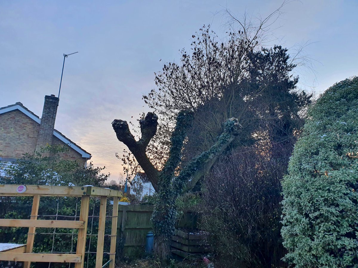PrimaryTreeSurg's tweet image. Good climbing work by JZ who has recently qualified formally with his aerial cutting qualifications 🙌🏻🥇🥳 #treesurgeon #learnonthejob #itsnevertoolate #careerdevelopment #careersnotjobs #workoutside