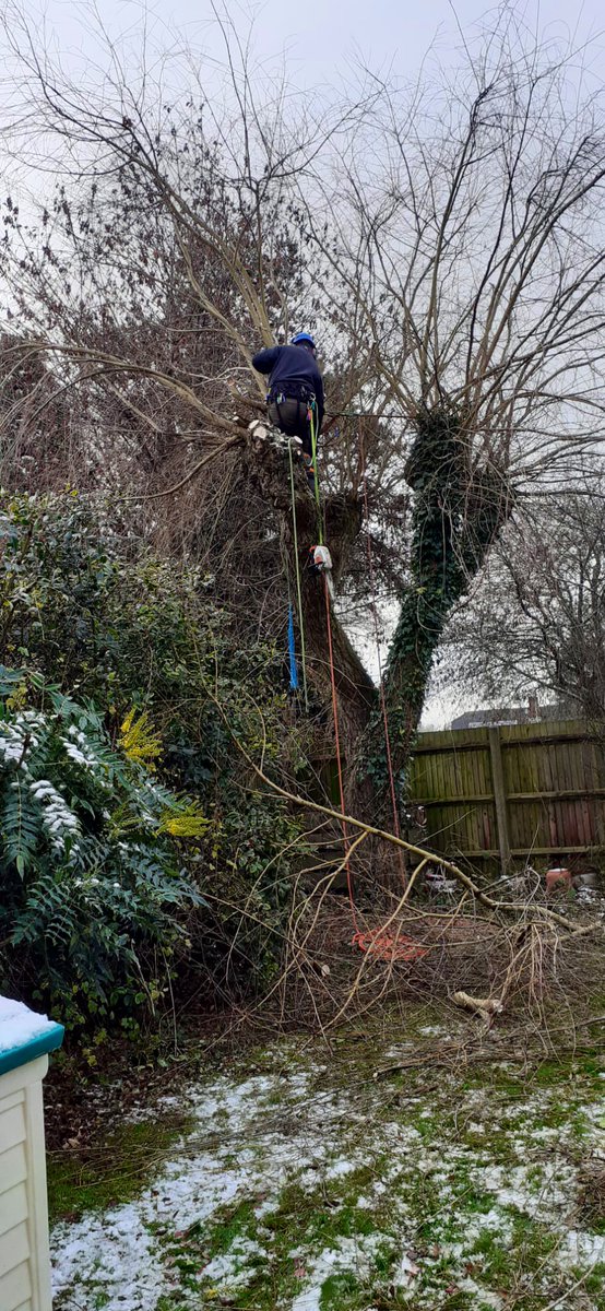 PrimaryTreeSurg's tweet image. Good climbing work by JZ who has recently qualified formally with his aerial cutting qualifications 🙌🏻🥇🥳 #treesurgeon #learnonthejob #itsnevertoolate #careerdevelopment #careersnotjobs #workoutside