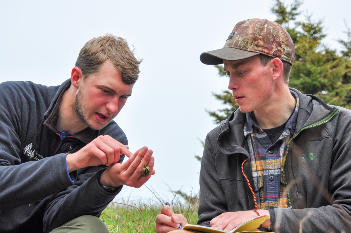 DMennill's tweet photo. New paper from our collaborative sparrow studies: "Natal experience and pre-breeding environmental conditions affect lay date plasticity in Savannah Sparrows." Now in Ecology.
Led by @ewh_wild @jbburant @RyanNorrisSci with a great team of researchers! I'm proud to be part of it. https://t.co/GnqcpahEze