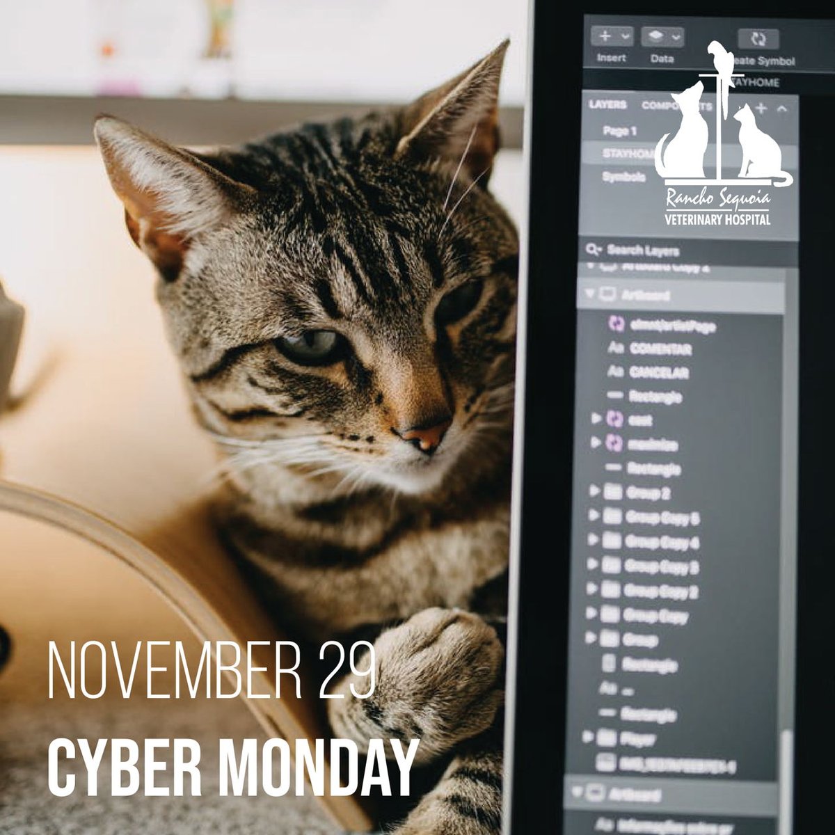 RanchoVets's tweet photo. Happy #CyberMonday!  We hope you are enjoying the deals today!  If you haven't already, be sure to check out all of our deals at https://t.co/TG2alMyVIW https://t.co/UpTiwRr4ah