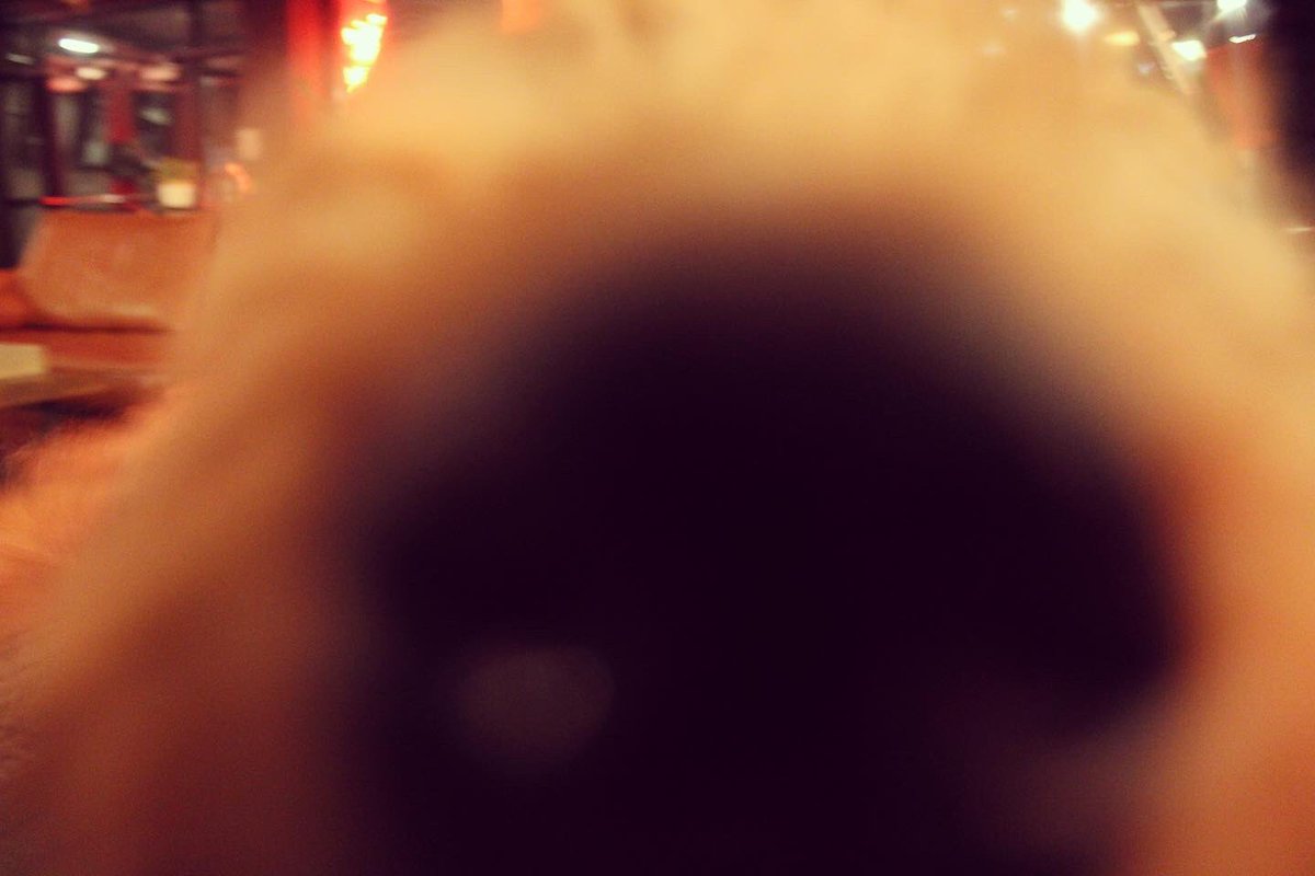 DoghouseHotel's tweet photo. Isn’t Miss Willow just the cutest doggo 😍 https://t.co/Xx5Q8s83QU