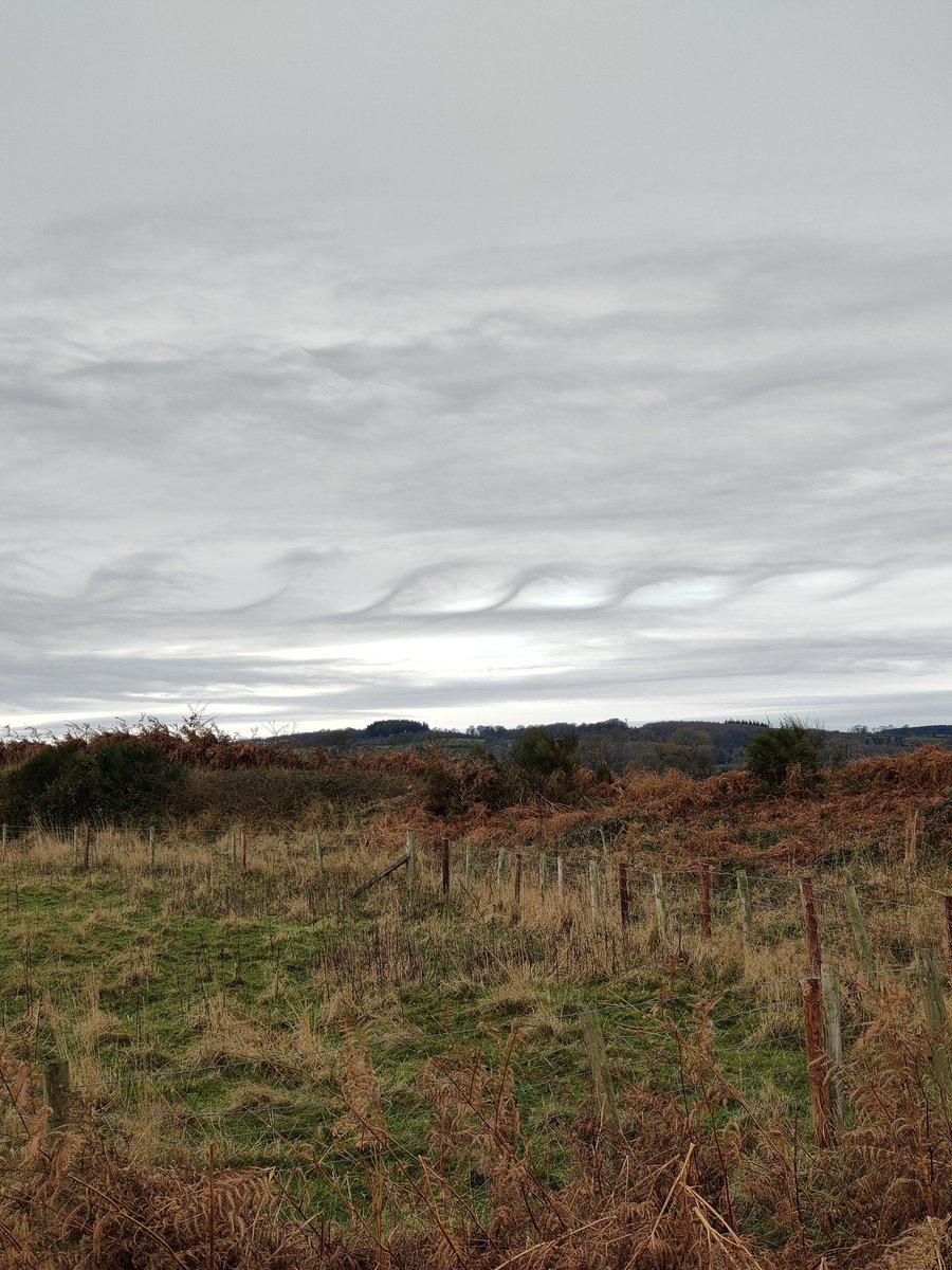 #cloud #𝙉𝙚𝙥𝙝𝙤𝙥𝙝𝙞𝙡𝙞𝙖⁣ #kelvinhelmholz