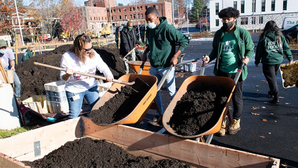 MassGenBrigham's tweet photo. We're digging this new project! @salemhospitalMA and North Shore Physicians Group are working to address #FoodInsecurity through the new Community Farm Pilot Project at the Mass General Brigham Healthcare Center in Lynn. Learn more: https://t.co/R4hZzsCtyh https://t.co/6br0UDcI8D