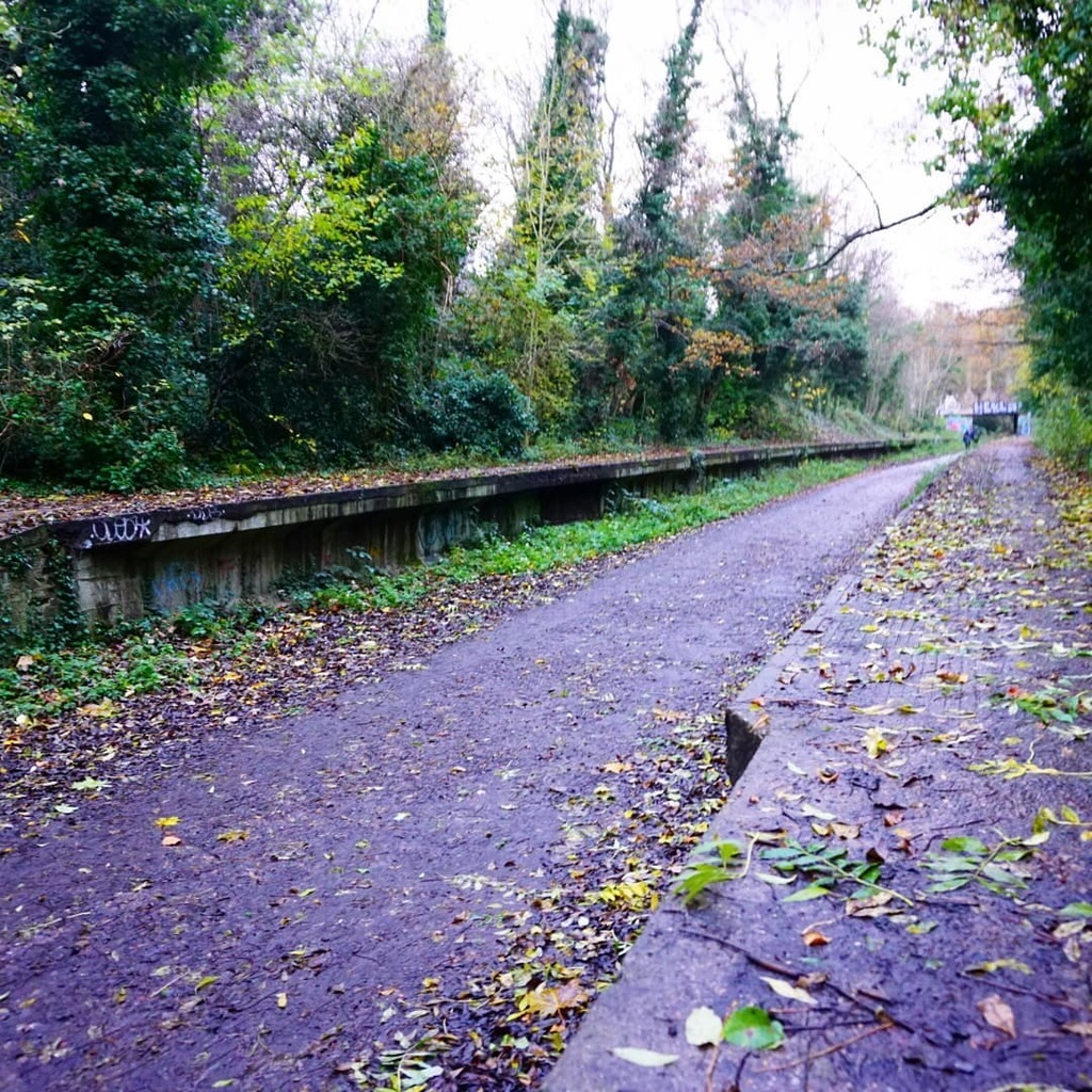 natashasudan's tweet image. Another one from our walk. Finsbury park to Ally Pally. #trainstation #trainplatform #mindthegap #walk #trees #sonyalpha instagr.am/p/CW3sUmYoleh/