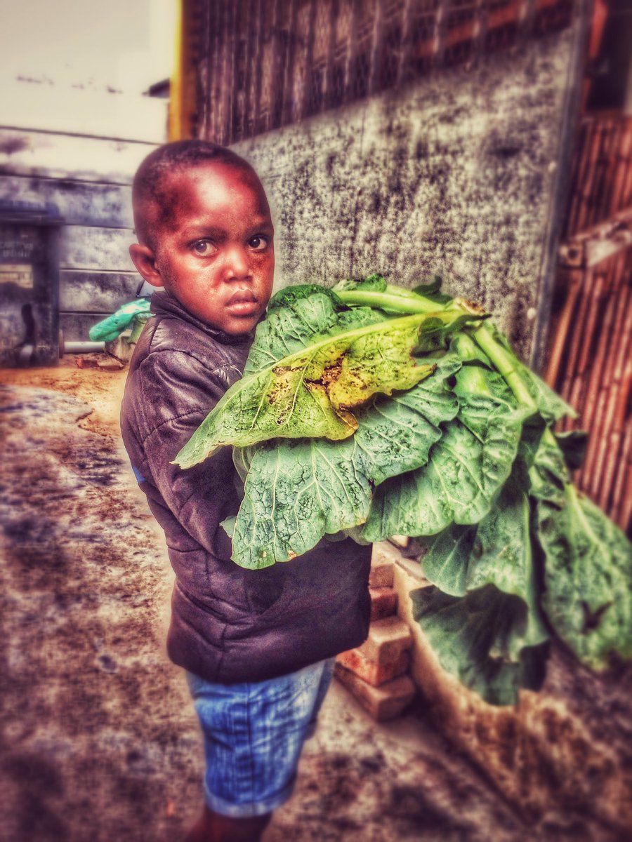 immortal_images's tweet photo. Munchkin Organic 🎈 Mama Mikki soup kitchen #food #SouthAfrica https://t.co/euVpO86I4Q