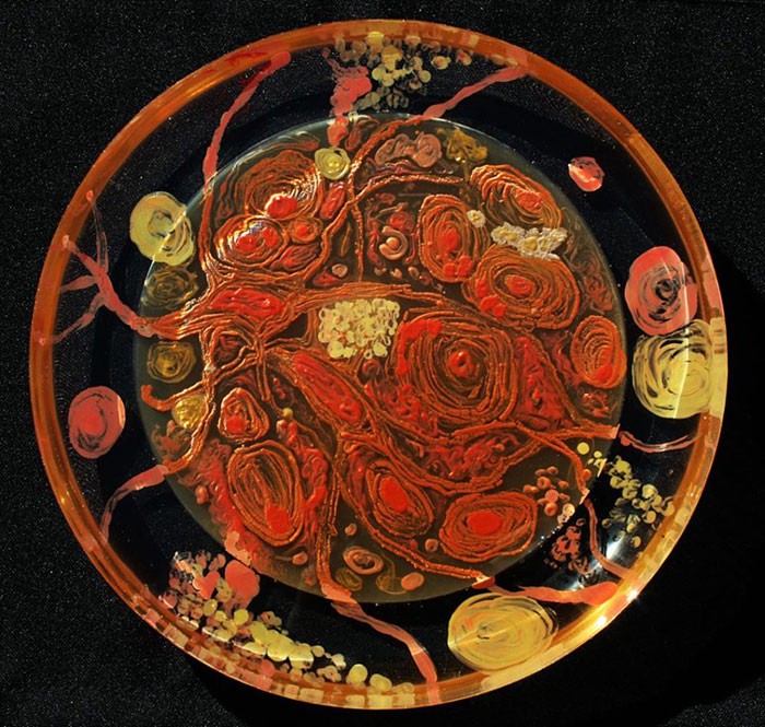 PrismaRU's tweet photo. El arte es un reflejo del mundo, el Dr. Antonio Lazcano reconoce que el mundo #microbiano también es digno de ser representado con estética
La información con @DulceGarcia007, reportera #PrismaRU
#RelatamosAlMundo 🌎 https://t.co/12WYJhJJPE