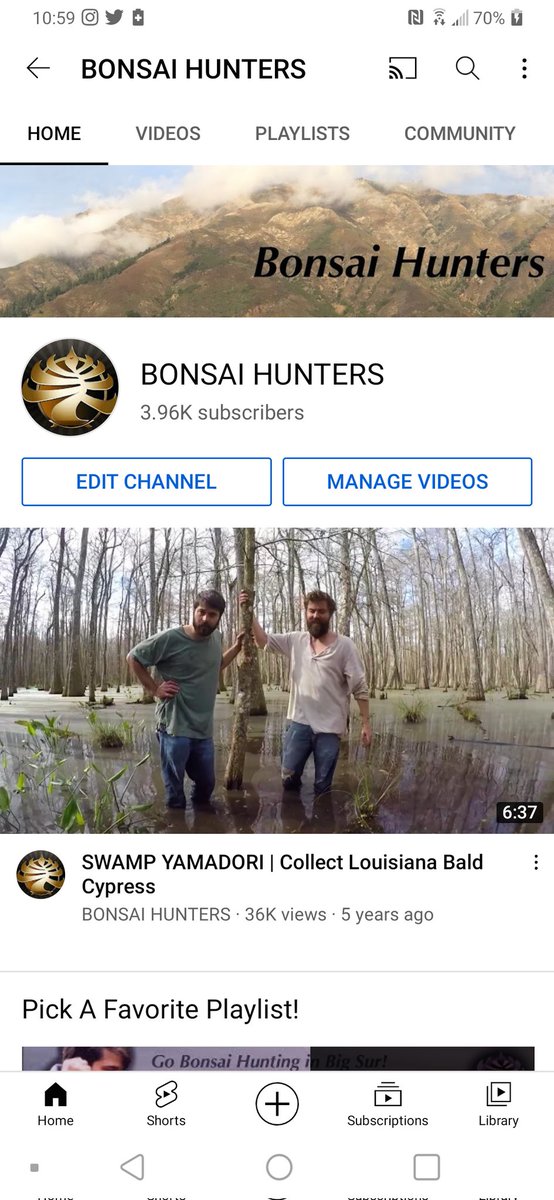 NFThumbheads's tweet photo. Hey #NFTCommunity can we show everyone that all of this really is about #kindness and #love? I have a goal of hitting 4k subs to kick off 2022! I'll #Giveaway 3 @12andahalfbook to 3 US subs that join #BHSwsk discord and says #LetsGoBonsai in chat! #bonsai #nft #bonsainft #grow https://t.co/ZpE9XLK5Ic