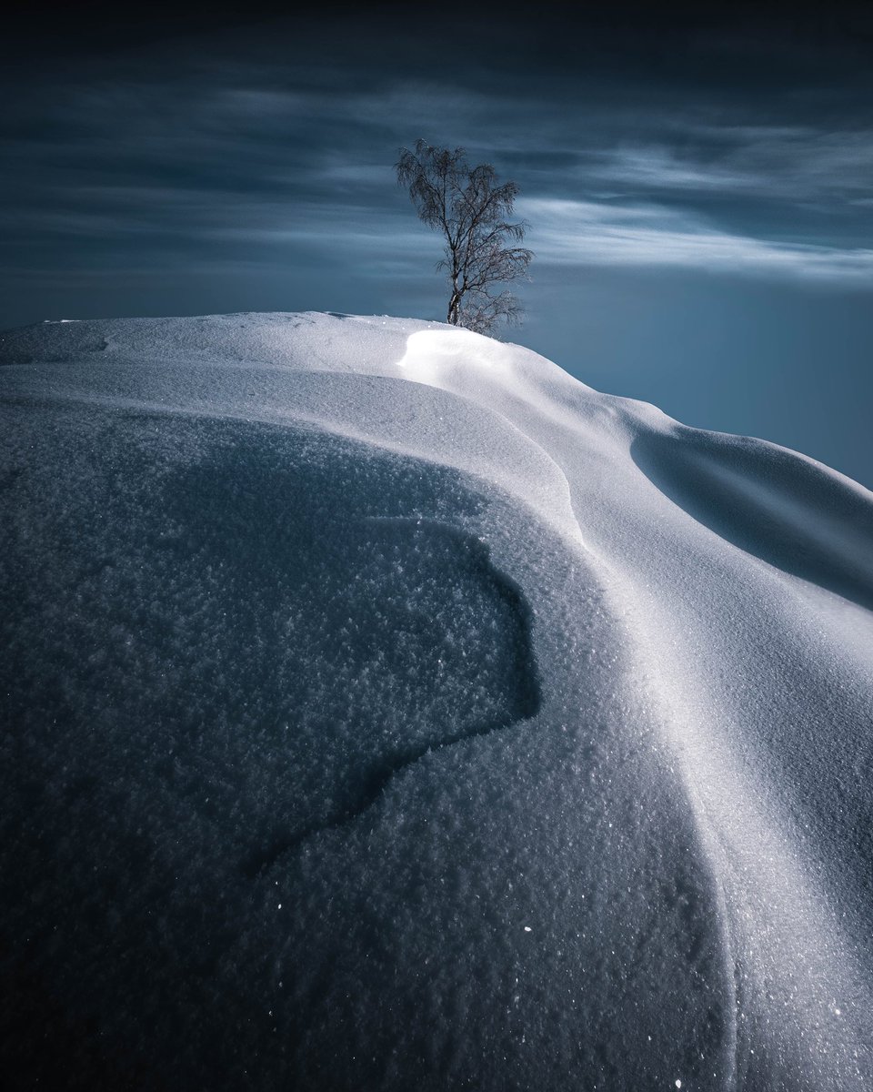 joonasalo_'s tweet photo. Cold Widow 🌬

Winter solstice happens when the earth's axis tilts away from the sun, making it the shortest day and longest night of the year for those living in the Northern Hemisphere. 

Part of the upcoming Winter Solstice collection.

#winternft #wintersolstice #nftlaunch https://t.co/XvnEW5m4De