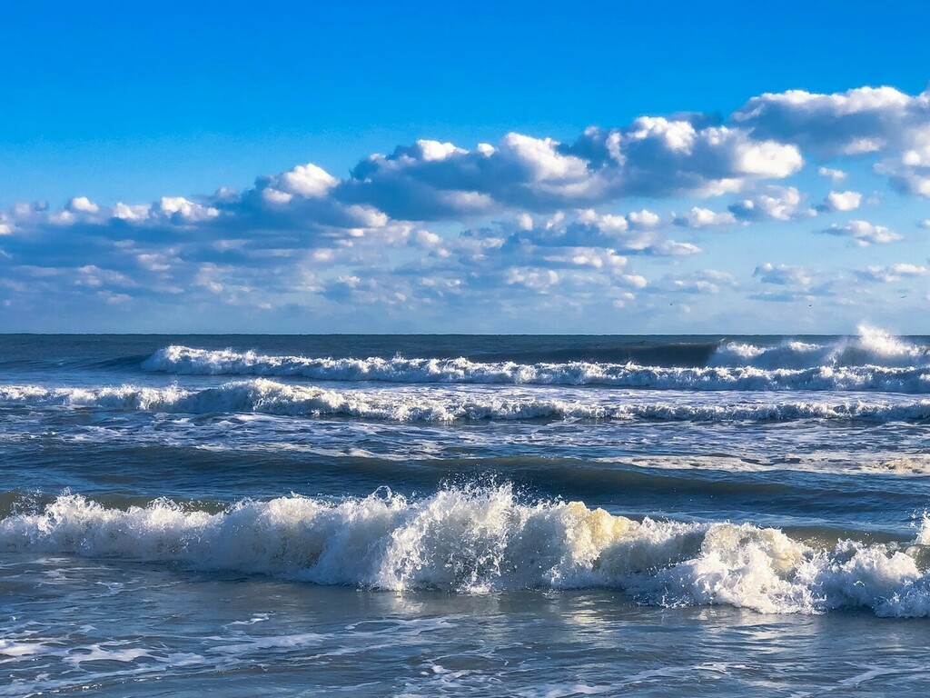 OuterBeaches's tweet photo. Happiness comes in wavesšā
ā
...good thing the ocean is full of them š„ #punsā
ā
ā
#outerbanks #OBX #HatterasIsland #obxnow #obxlove #CapeHatteras #outerbanksnc #theouterbanks #obxvacation #barrierisland #sandbarā
#OBRfun #outerbeaches #hatterasfu⦠https://t.co/OIUtrfj2fz https://t.co/odFm3jtMNA