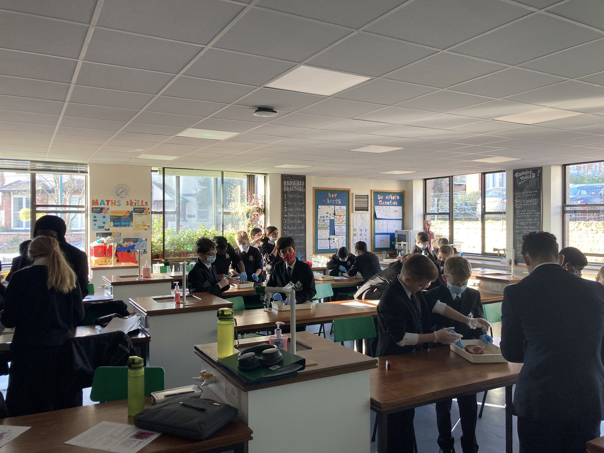 Biology_NHS's tweet photo. Another exciting biology club today! Year 7 dissected a heart and were able to identify all of the chambers and blood vessels! 🫀 https://t.co/cV5dFSoap4