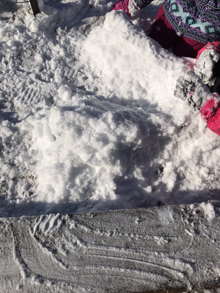 SloanePS_TDSB's tweet photo. So much fun in the snow. Student put a whole new meaning to โsnow pantsโ #funinsnow #snowplay @tdsb @LC2_TDSB @TDSB_hsyptak https://t.co/pgwQZ7kmr3