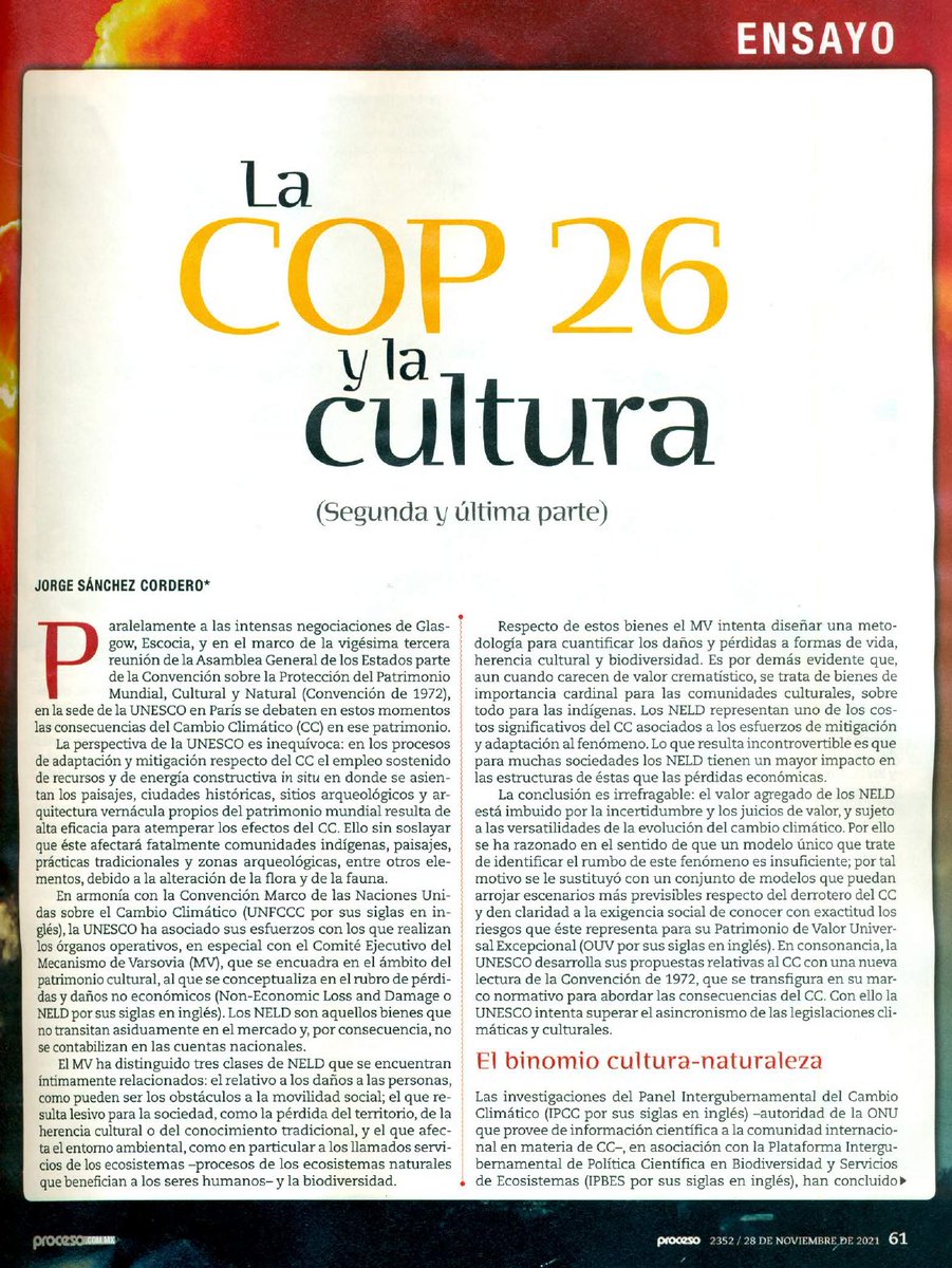 Comparto ensayo de Proceso