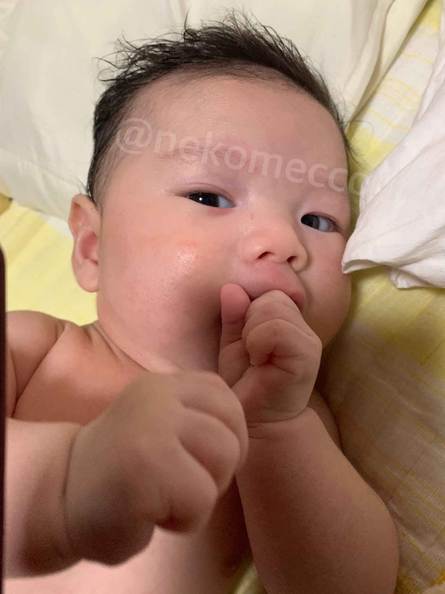 乳児 Twitter Search Twitter