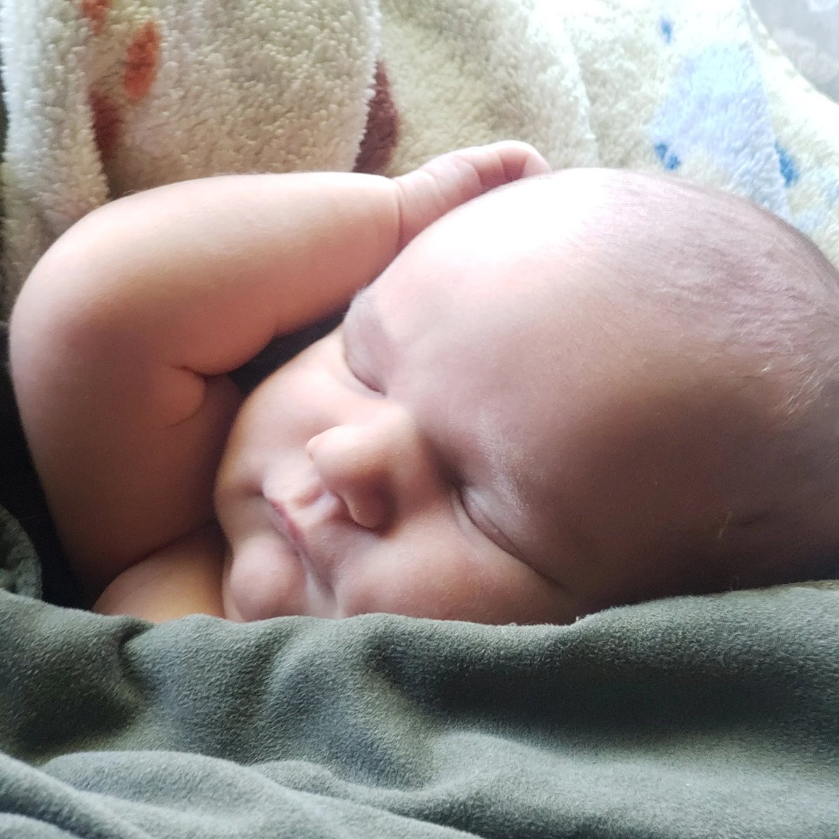 JordanLSmith's tweet photo. Hazel Louise https://t.co/Bma7oqL3jr