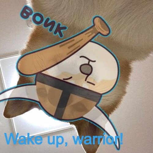 BurpFX's tweet photo. @WatcherGuru #FlokiBonk takes first place as most likely to 1000x by EOY. DogeBonk already 1000x in one month and we are on pace to do the same. We’re already on the top gainers list for a second time this month. Super early at $1.5M marketcap. Bonk it! @FLOKO_BONKO https://t.co/qZXsx8Eul5