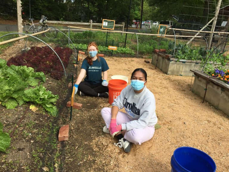Check out this <a href="/unc_our/">UNC Office for Undergraduate Research</a>  article ft. the Undergraduate Research Consultant Team led by AMST/FOLK Prof. <a href="/danielmcobb/">Daniel M. Cobb</a>. The team partnered with the <a href="/CCGunc/">Carolina Community Garden (CCG)</a> to create an exhibit based on their research on American Indian writer &amp; intellectual D’Arcy McNickle. our.unc.edu/news-update/pl…