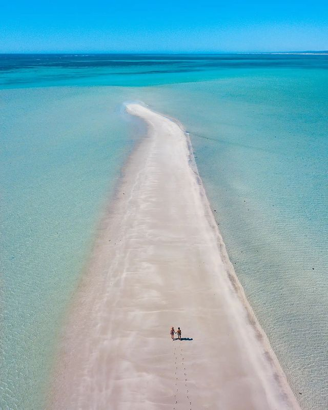 youtoo_project's tweet photo. ¿Con quién te ves paseando por la costa de Ningaloo? ¡Menciona en los comentarios a tu compi de aventuras! 🧳✈️🌎

📍Ningaloo Station, Australia
📸@all.about.adventure 

#youtooproject #australia2022 #estudiarenaustralia #visadoaustralia #estudiarenelextranjero # https://t.co/4rucApYwRO