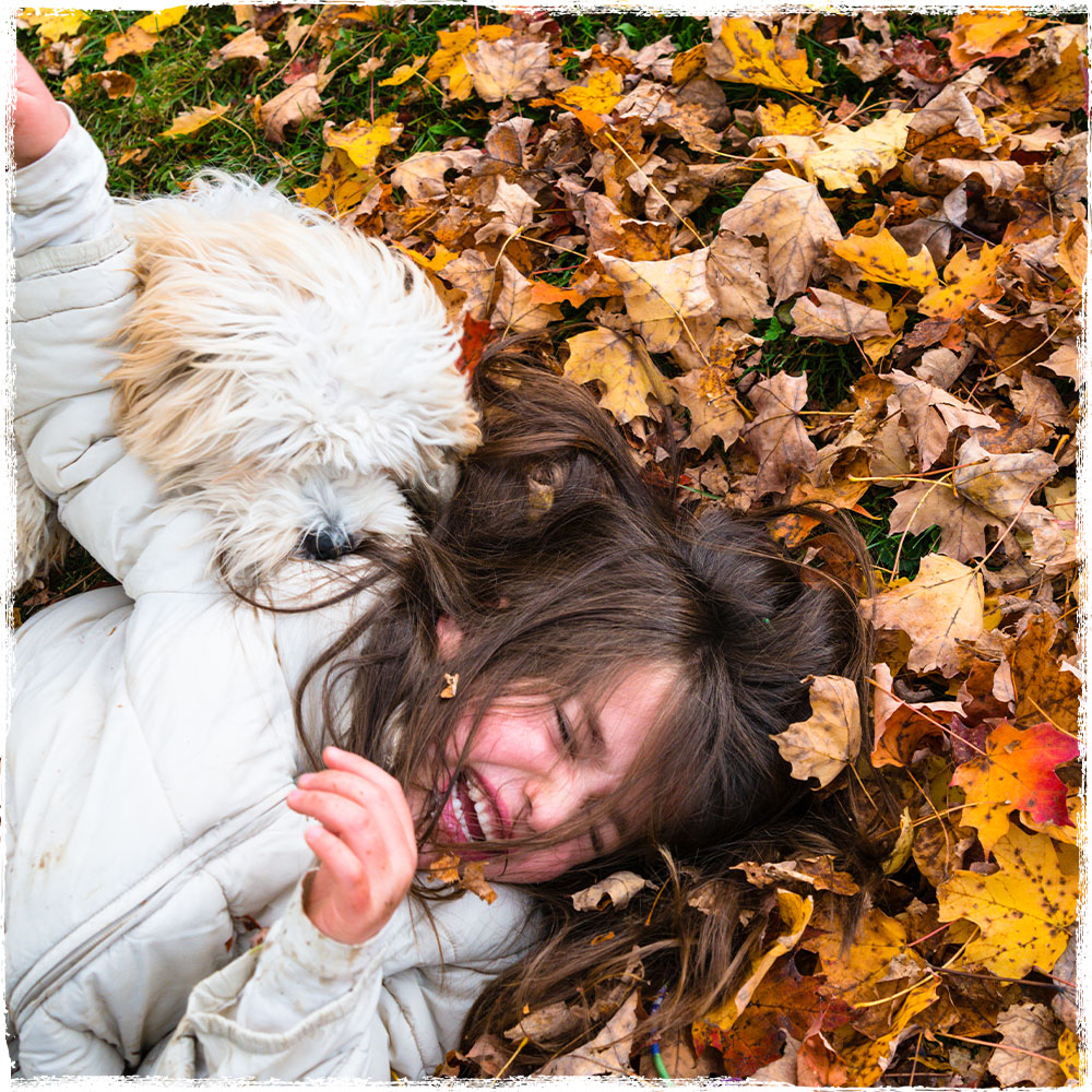 We’re grateful for all the wholesome goodness our pets bring to our lives—so we’re thanking them by making sure their bowls are filled with wholesome goodness, too! Beyond is made with natural ingredients (plus added vitamins, minerals &amp; nutrients) so you can give them the best!