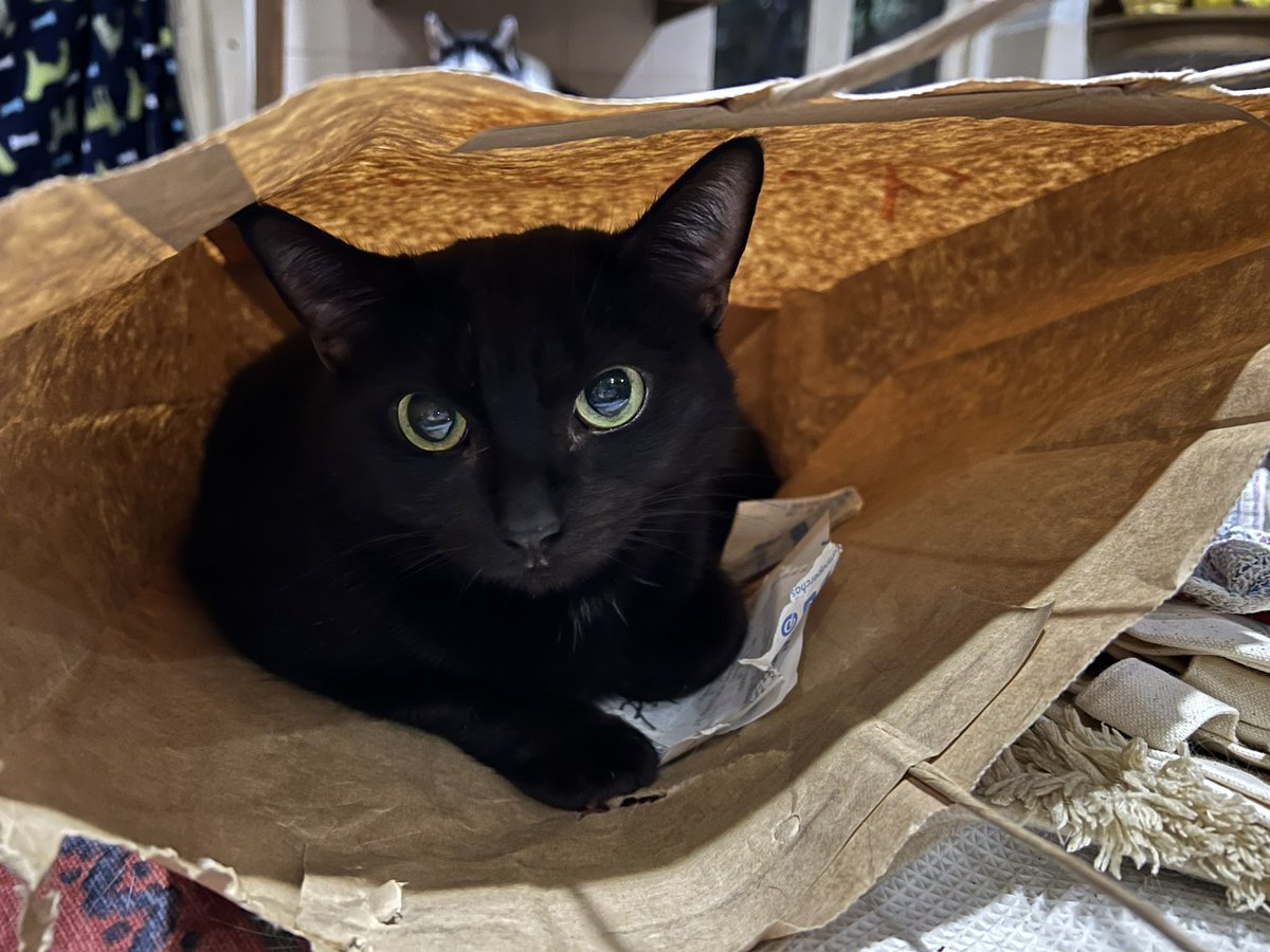 Claw and Order tweet media