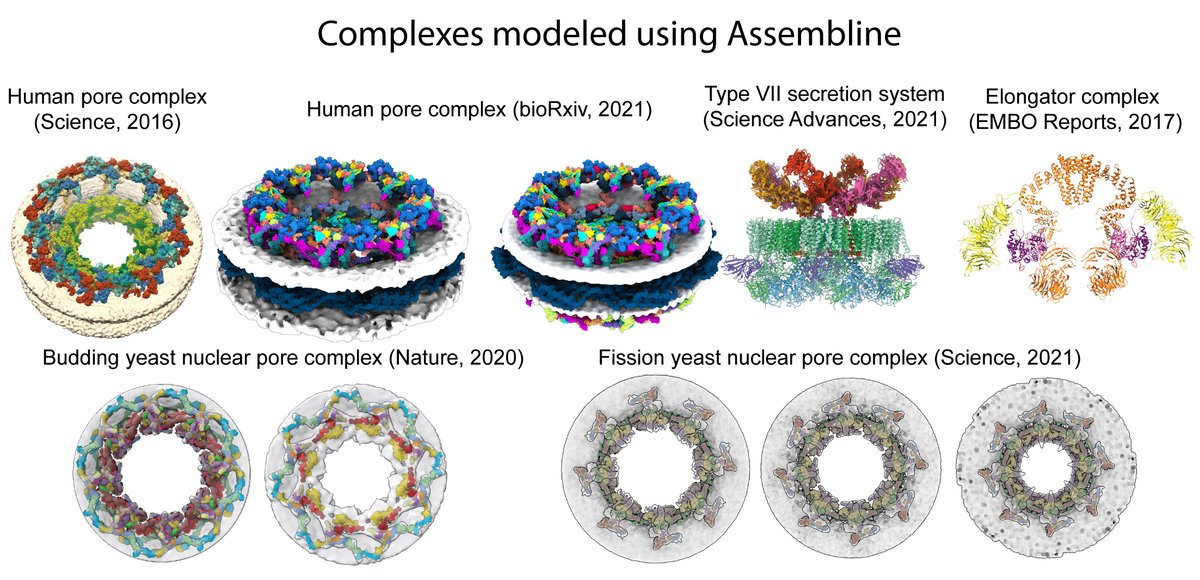 Jan Kosinski (@jankosinski) on Twitter photo Our Assembline software, which we used for modeling nuclear pore and other complexes, is published today in <a href="/NatureProtocols/">Nature Protocols</a>! Paper: nature.com/articles/s4159… Website: embl-hamburg.de/Assembline/ Our Assembline software, which we used for modeling nuclear pore and other complexes, is published today in <a href="/NatureProtocols/">Nature Protocols</a>! Paper: nature.com/articles/s4159… Website: embl-hamburg.de/Assembline/
