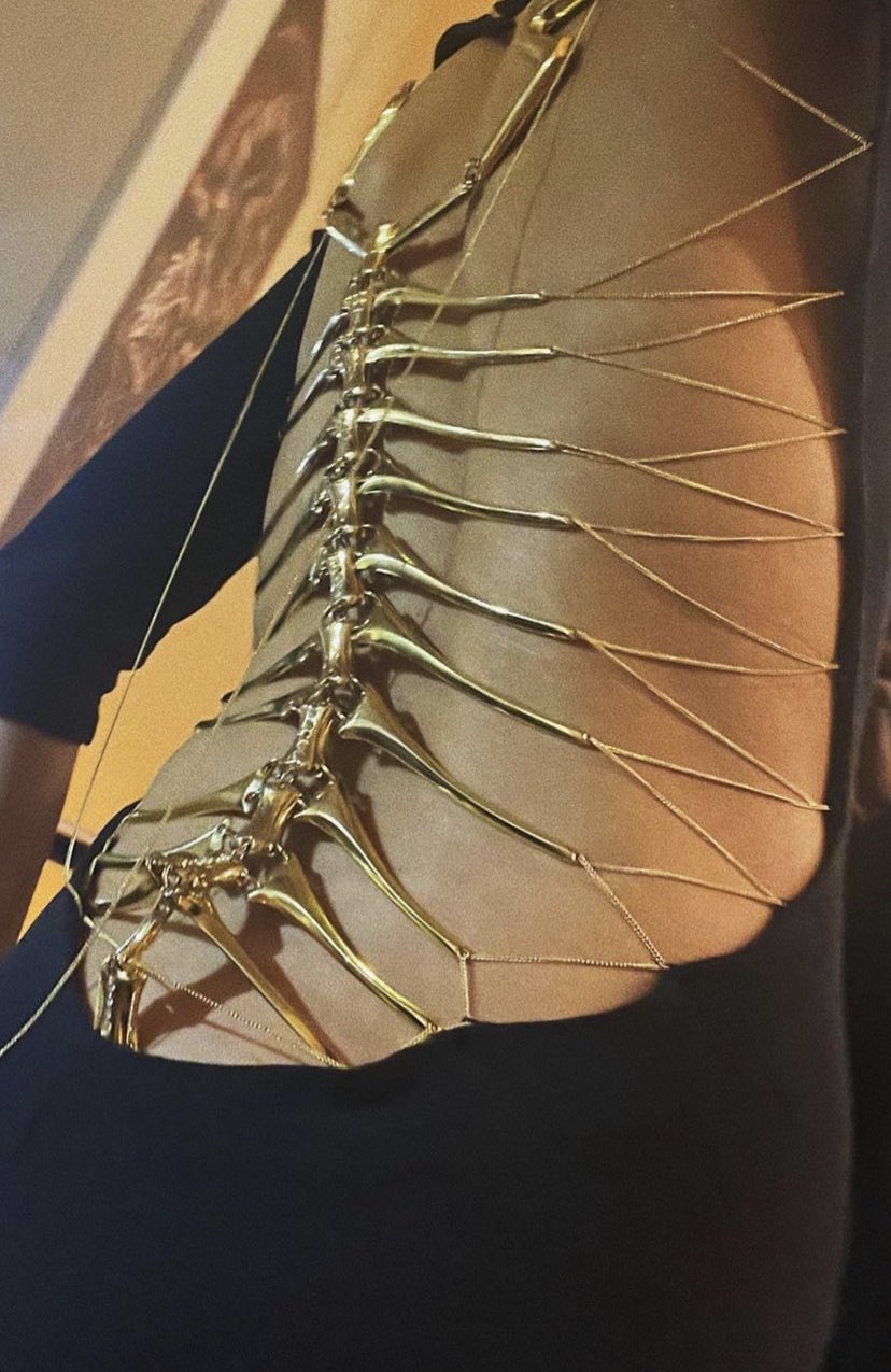 Kanika Talwar on X: “Zendaya in Roberto Cavalli metal spine dress