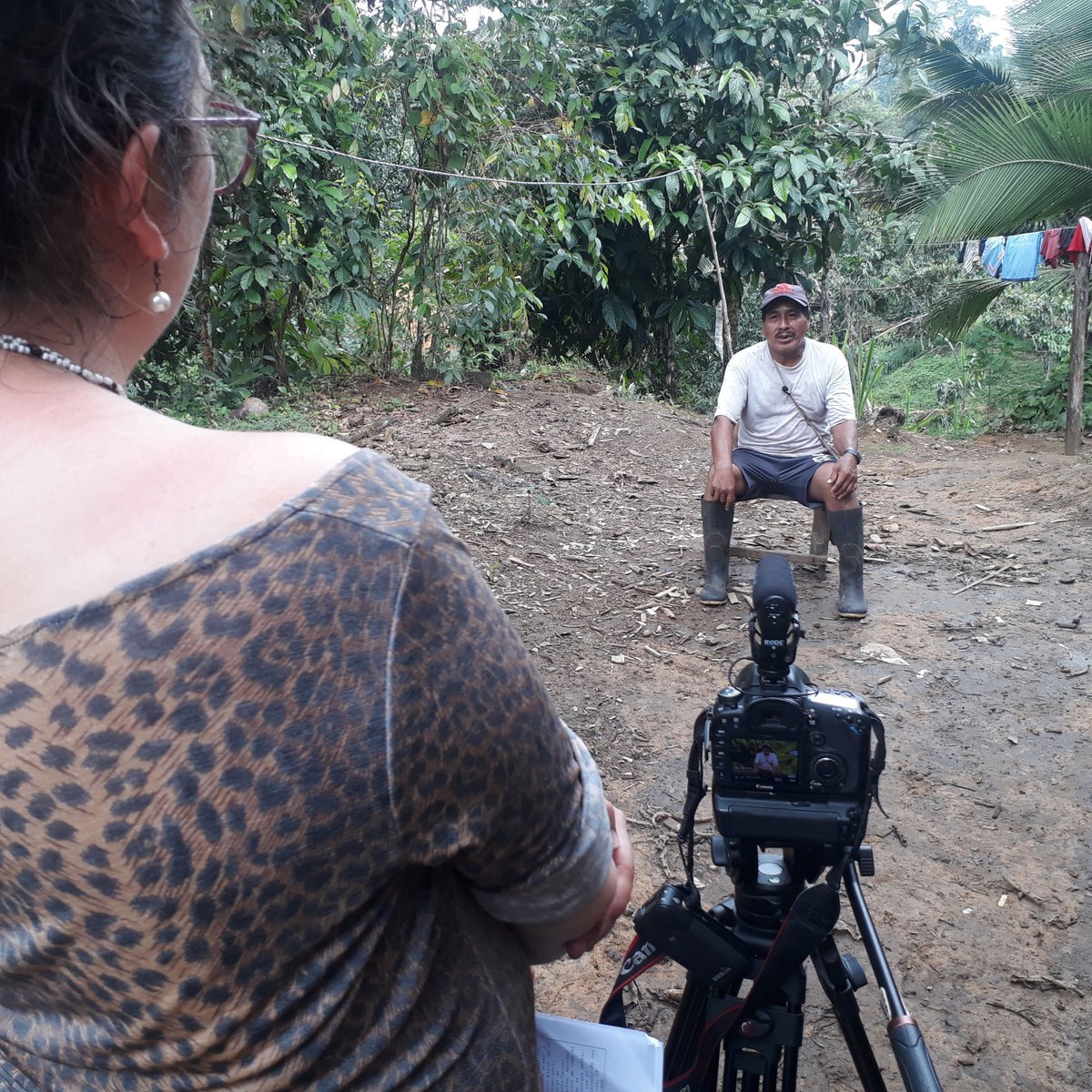 uterofilms's tweet photo. Proyecto "Saberes Ancenstrales"
Cliente: Programa Mundial de Alimentos
Localidades: Mataje Alto - Mataje - Esmeraldas
Comunidad Awá https://t.co/GxqnYKHK71