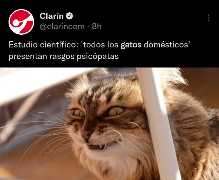 fabipa90's tweet photo. Los que tuvimos o tenemos gatos no necesitamos ningún estudio para comprobar esto. https://t.co/fotSGckhnF