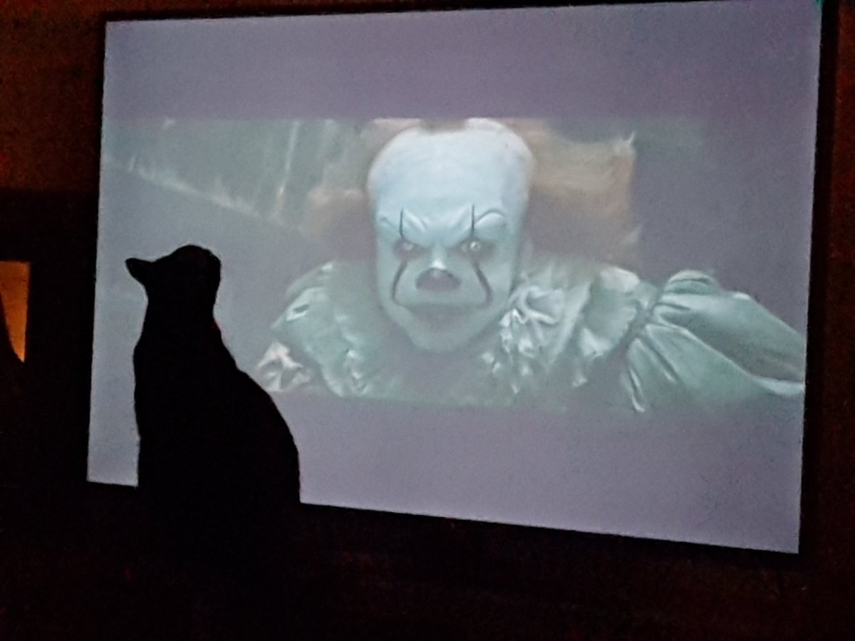 Tell Ya 🌸 tweet media