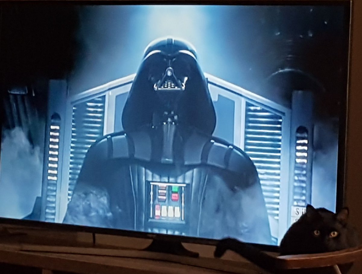 Tell Ya 🌸 tweet media