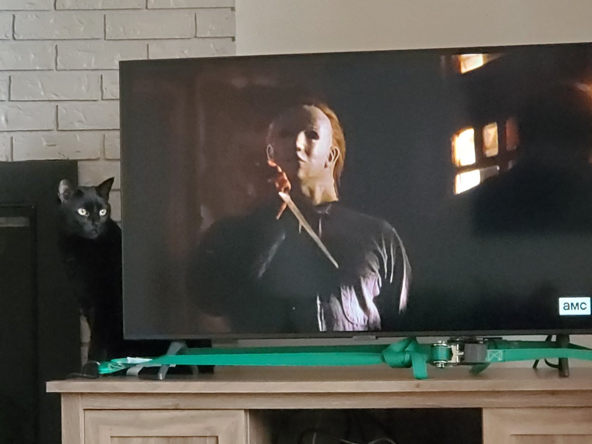 Tell Ya 🌸 tweet media