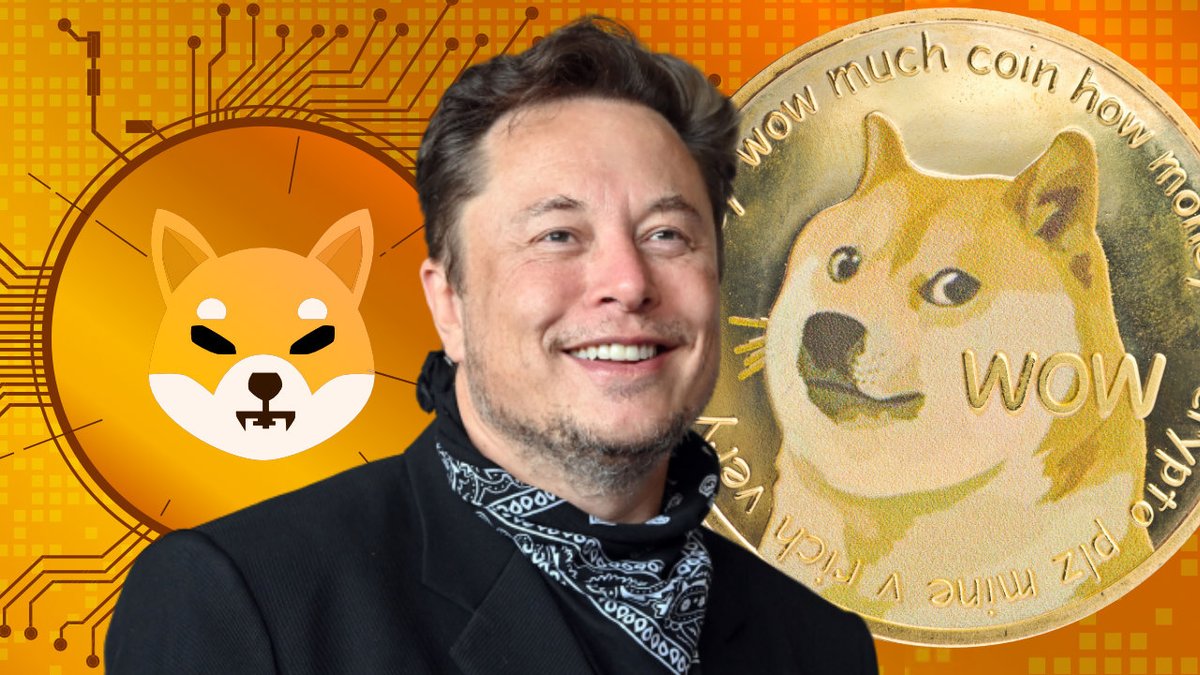 MarvelShiba's tweet photo. Shiba Inu is growing up, the chart index is colored by Green.

Congratulations mate! https://t.co/rAM9yshBhS