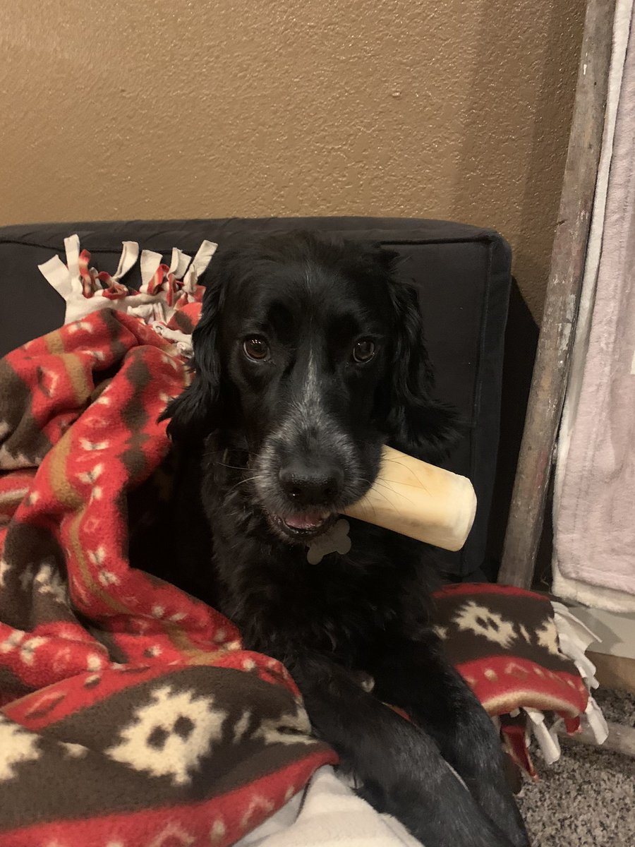 ttv_nerkuda's tweet image. New pfp cute little boy