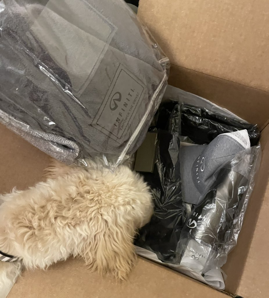 kcgiardina's tweet photo. Wahhh!! 😮🙆🏻♀️ Thank you @INFINITIUSA for the care package!! I’m officially OFFICIAL now 🙌🏼🖤 #InfinitiFam #Infiniti #SquadGoals 🖤 Time to drive. Neooww Nyoommm! https://t.co/1zE7ewmE7F