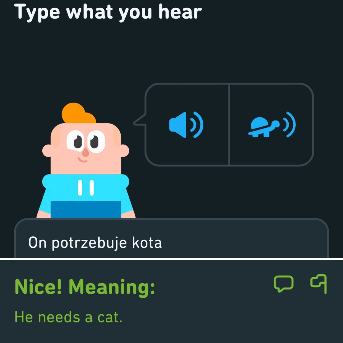 EilselObed's tweet photo. Don't we all...
#Polish #Polski #Duolingo #Cats #Ineedacat #langtwt #LanguageLearning #LearningPolish #UczęSięPolskiego #Languages https://t.co/LINZSSPk8R