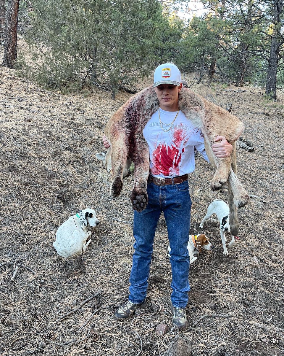 ParkerMcCollum's tweet photo. The hunt of a lifetime today. Been a dream of mine to harvest a mountain lion and today I finally got to do it! The Aught Six Ranch is a special place! https://t.co/S93m7JFAmk