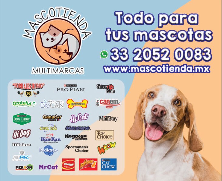 Comenzamos con la primera Expo en jalisco ‼️🐕‍🦺🐾✔️🐩
<a href="/alimentos/">Alimentos</a>
<a href="/articulos/">articulos</a>
<a href="/Franquicias/">sagitarius</a> 
<a href="/medicamentos/">Medicamentos</a> ✍🏻 🐶 🐱 🦮