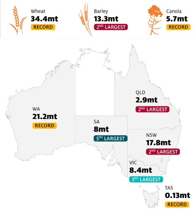 DailyGrain tweet media