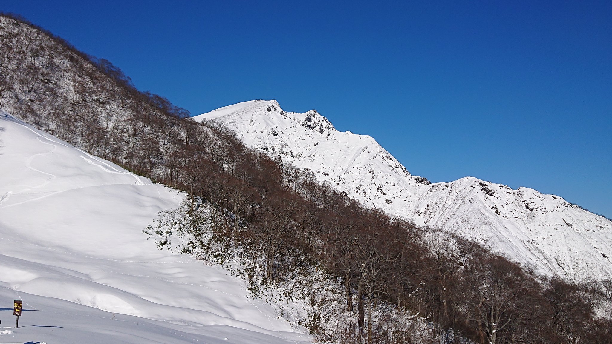 谷川岳天神平 Tenjindaira Twitter